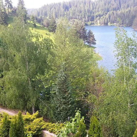 Вила 